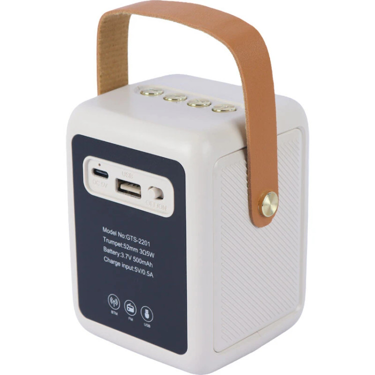 اسپیکر بلوتوثی قابل حمل گریت نایس مدل GTS-2201